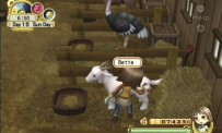 Harvest Moon : L'Arbre de la Sérénité