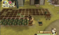 Harvest Moon : L'Arbre de la Sérénité