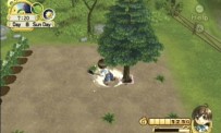 Harvest Moon : L'Arbre de la Sérénité