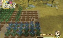 Harvest Moon : L'Arbre de la Sérénité