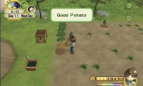 Harvest Moon : L'Arbre de la Sérénité