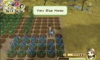 Harvest Moon : L'Arbre de la Sérénité