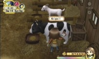 Harvest Moon : L'Arbre de la Sérénité