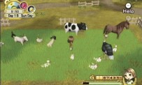 Harvest Moon : L'Arbre de la Sérénité