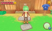 Harvest Moon 3D : A New Beginning