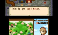 Harvest Moon The Tale of Two Towns