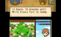 Harvest Moon The Tale of Two Towns