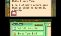 Harvest Moon The Tale of Two Towns