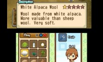 Harvest Moon The Tale of Two Towns