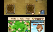 Harvest Moon The Tale of Two Towns