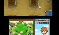 Harvest Moon The Tale of Two Towns