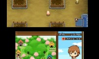 Harvest Moon The Tale of Two Towns