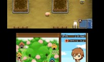 Harvest Moon The Tale of Two Towns