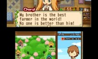 Harvest Moon The Tale of Two Towns