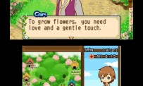 Harvest Moon The Tale of Two Towns