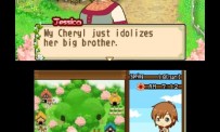 Harvest Moon The Tale of Two Towns