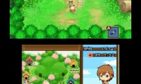 Harvest Moon The Tale of Two Towns