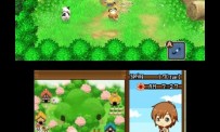 Harvest Moon The Tale of Two Towns