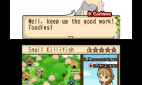 Harvest Moon The Tale of Two Towns