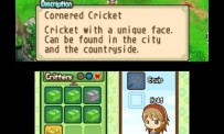 Harvest Moon The Tale of Two Towns