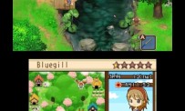 Harvest Moon The Tale of Two Towns