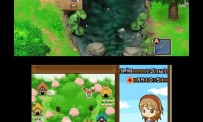 Harvest Moon The Tale of Two Towns