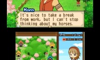 Harvest Moon The Tale of Two Towns