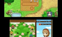 Harvest Moon The Tale of Two Towns