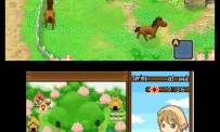 Harvest Moon The Tale of Two Towns