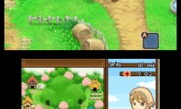 Harvest Moon The Tale of Two Towns