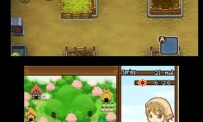 Harvest Moon The Tale of Two Towns