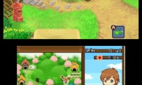 Harvest Moon The Tale of Two Towns