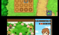 Harvest Moon The Tale of Two Towns