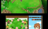 Harvest Moon The Tale of Two Towns