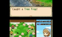 Harvest Moon The Tale of Two Towns