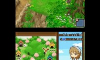 Harvest Moon The Tale of Two Towns