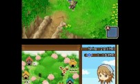 Harvest Moon The Tale of Two Towns