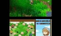 Harvest Moon The Tale of Two Towns