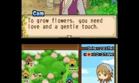 Harvest Moon The Tale of Two Towns