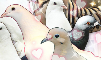 Hatoful Boyfriend : le premier jeu vidéo qui incite à draguer des pigeons