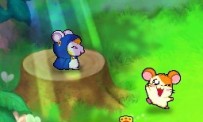 Hi Hamtaro! Little Hamsters Big Adventure : Joue avec les Ham-Hams