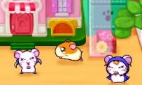 Hi Hamtaro! Little Hamsters Big Adventure : Joue avec les Ham-Hams