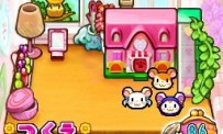 Hi Hamtaro! Little Hamsters Big Adventure : Joue avec les Ham-Hams