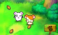 Hi Hamtaro! Little Hamsters Big Adventure : Joue avec les Ham-Hams