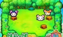 Hi Hamtaro! Little Hamsters Big Adventure : Joue avec les Ham-Hams