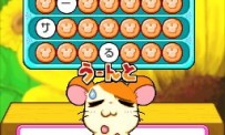 Hi Hamtaro! Little Hamsters Big Adventure : Joue avec les Ham-Hams