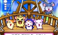 Hi Hamtaro! Little Hamsters Big Adventure : Joue avec les Ham-Hams