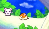 Hi Hamtaro! Little Hamsters Big Adventure : Joue avec les Ham-Hams