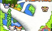 Hi Hamtaro! Little Hamsters Big Adventure : Joue avec les Ham-Hams