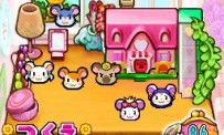 Hi Hamtaro! Little Hamsters Big Adventure : Joue avec les Ham-Hams